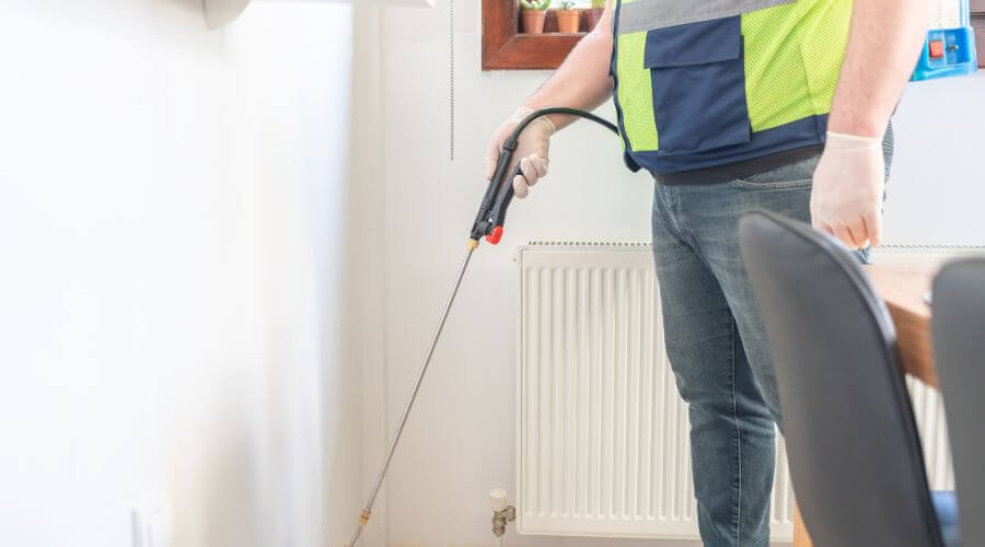 Professional pest control services in Los Altos